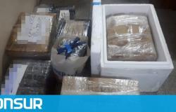 Dijo que llevaba medicamentos y en su equipaje encontraron 130 kilos de langostinos en Chubut – ADNSUR – .