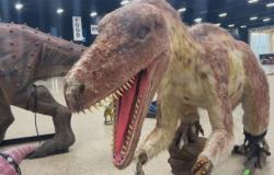 Manada de dinosaurios se apodera del Edmonton Expo Center – .