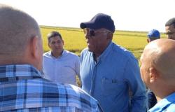 Valdés Mesa insta a incrementar producción de arroz en Pinar del Río – .