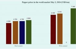 VN encabeza las exportaciones de pimiento, pero los precios son los más bajos del mundo – .