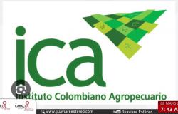 Ganaderos insatisfechos con el servicio que ofrece el ICA en San José del Guaviare – .