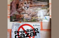 Pobladores de Montaño piden acción rápida y expertos responden dudas sobre el puma