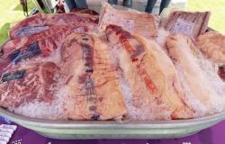 Se espera que los precios de la carne aumenten ligeramente para este verano