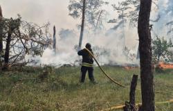 Los bombardeos rusos provocaron durante la noche tres incendios forestales en el distrito de Kupiansk – .