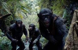 Reseña de “El Reino del Planeta de los Simios”, película de Wes Ball