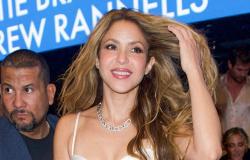 Shakira rompe corazones con su look tras la Met Gala
