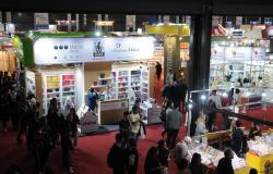 La Feria Internacional del Libro decidió no parar
