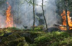 Incendios infernales en el Himalaya debido a los tres pecados ambientales capitales