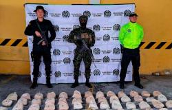 Descubren ruta del narcotráfico de heroína colombiana hacia EE.UU.