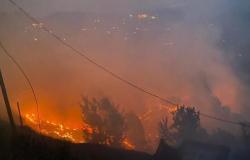 Cinco muertos y 1.300 hectáreas de tierra afectadas por los incendios forestales de Uttarakhand, dicen las autoridades