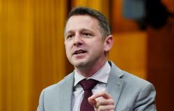 “El diputado liberal se disculpa por llamar a los testigos del comité lingüístico ‘llenos de mierda’ -“.