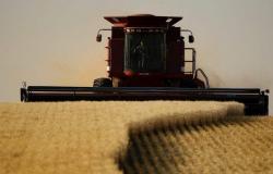 Los precios del trigo se han disparado debido al conflicto global y al clima extremo.