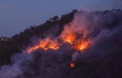 Karnataka sufre menos incendios forestales este año, pero su intensidad es alta