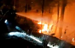 Incendios forestales en Uttarakhand: 5 personas muertas, 1.300 hectáreas afectadas, dice un funcionario
