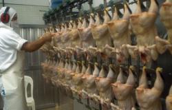 República Dominicana vende huevos y carne de pollo a Cuba en medio de crisis