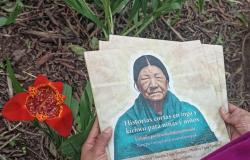 Libro para niños del pueblo Inga en Putumayo – .