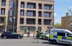 Hombre de 22 años acusado de asesinato después de que una mujer de 66 años fuera asesinada a puñaladas cerca de una parada de autobús en una concurrida calle de Londres.