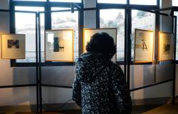 Bienal de Artes de Valparaíso inaugura Pabellón Internacional con la presencia de reconocidos artistas – G5noticias – .