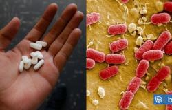 Resistencia a los antibióticos, la “pandemia silenciosa”: conozca por qué se produce y cómo frenarla