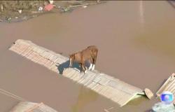 Catastróficas inundaciones del Río Grande anticipan la tragedia climática de Brasil – .