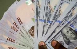 EFCC detiene transacciones en dólares y pide a las embajadas cobrar en naira – .