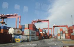 Contrabando: El caso Container Mafia llega a juicio