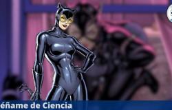 Así se vería en la vida real la villana de Batman ‘Catwoman’, según una IA – Enséñame de Ciencia – .
