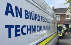 Hombre arrestado después de asalto fatal en Co Kildare –.