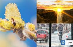 La nueva herramienta de pronóstico de la NOAA muestra cómo el polen influye en el clima y viceversa