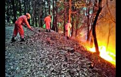Una mujer de 62 años quemada en un incendio forestal sucumbe a las heridas
