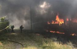 Seis vagones en desuso quemados en Gerli – .