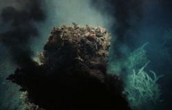 Aparecen 5 fuentes hidrotermales en el oscuro corazón del océano