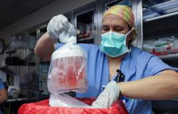 Murió el paciente que recibió el primer trasplante de riñón de cerdo genéticamente modificado