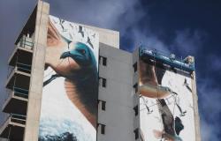 ¿Cómo se hizo Mensajeros?, el mural de Mar del Plata reconocido como el mejor del mundo – El Marplatense – .