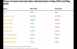 Los precios de estas materias primas muestran cómo les ha ido a los nigerianos desde mayo de 2023.