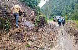 Lluvias en Huila dejan emergencias en 29 municipios – .