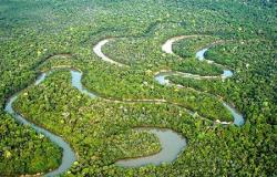 ¿Sabías que hay un río bajo el Amazonas? – .