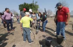 Reforestan terreno baldío en el barrio Arboledas de Jacarandas – El Sol de San Luis –.