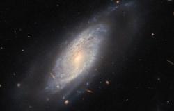Hubble vislumbra una fábrica de formación estelar – .