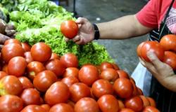 “Están del lado del tomate”, dijo un salteño al ver que el precio de la hortaliza había subido a 40.000 dólares la caja. – .
