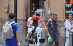 Niegan 24 muertes por golpe de calor en San Luis Potosí – El Sol de San Luis – .