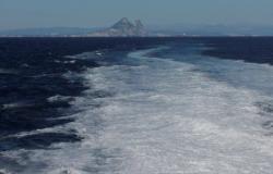 Orcas hundió un velero en el Estrecho de Gibraltar – .