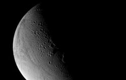 Las simulaciones no excluyen biomarcadores en el hielo de la luna Encelado – .