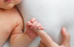 Las tasas de natalidad están cayendo rápidamente en todo el mundo: hay alarma en la comunidad internacional