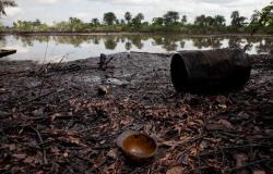 Los jóvenes ogoni inician negociaciones para reanudar la extracción de petróleo – Nigeria – The Guardian Nigeria News – Nigeria y World News -.