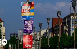 AfD es potencialmente extremista, confirma un tribunal alemán – DW – 13/05/2024 – .