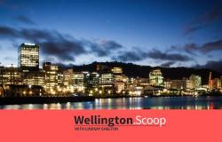 Wellington.Scoop »Tercer mes consecutivo de aumentos en los precios de las propiedades en Nueva Zelanda – .