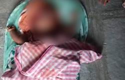 Perro mata a un bebé de 5 meses en una casa de Telangana