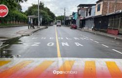 Neiva lanza campaña ‘Tacho, déjame cruzar’ por la Seguridad Vial Escolar – .