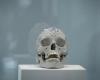 La lujosa visión de la muerte de Damien Hirst se exhibe en México – .